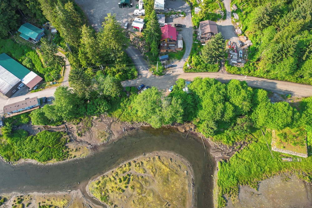 Salmon Return & Wildlife Roam: Ketchikan Getaway!