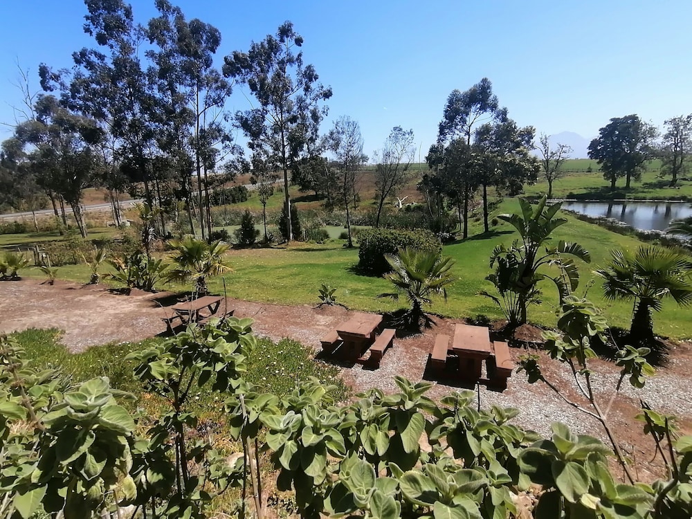 Ibis Place Guest House