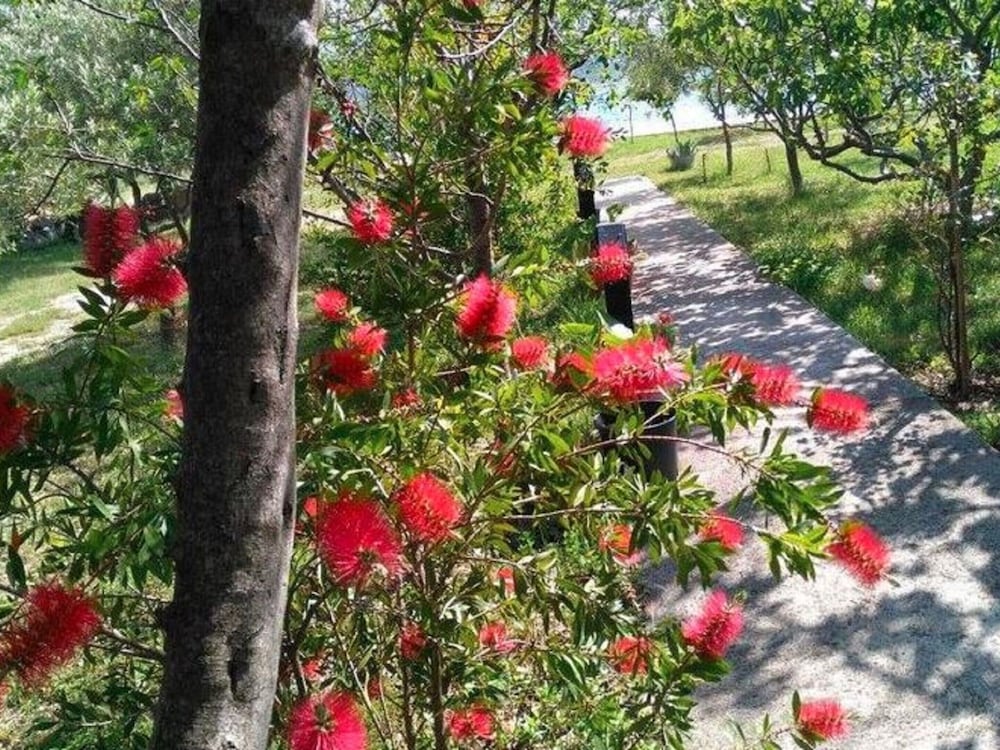 Your Perfect Adriatic Getaway view 5