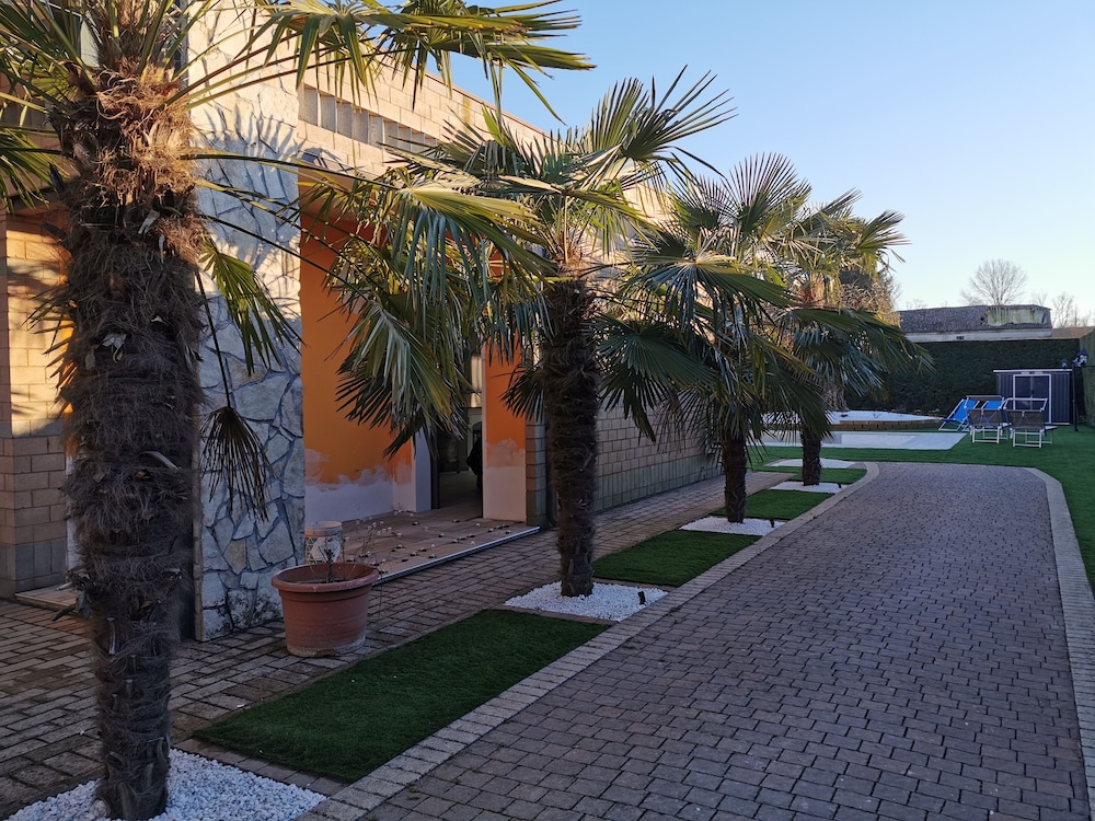 Photo 6