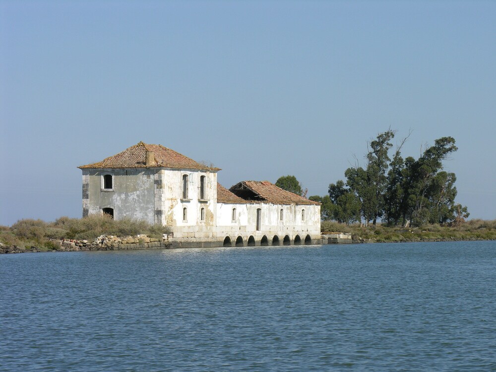 The Boat