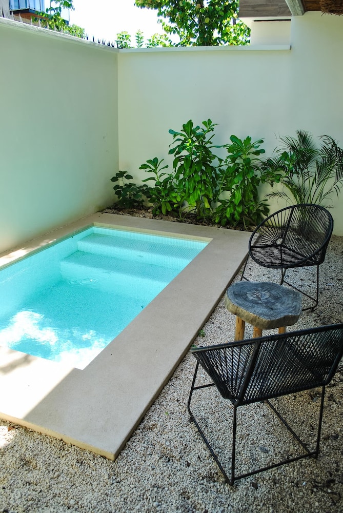 Esencia Botanic Piscina Privada
