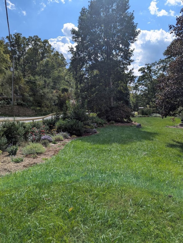 Creekside on Shope hot tub Fire pit