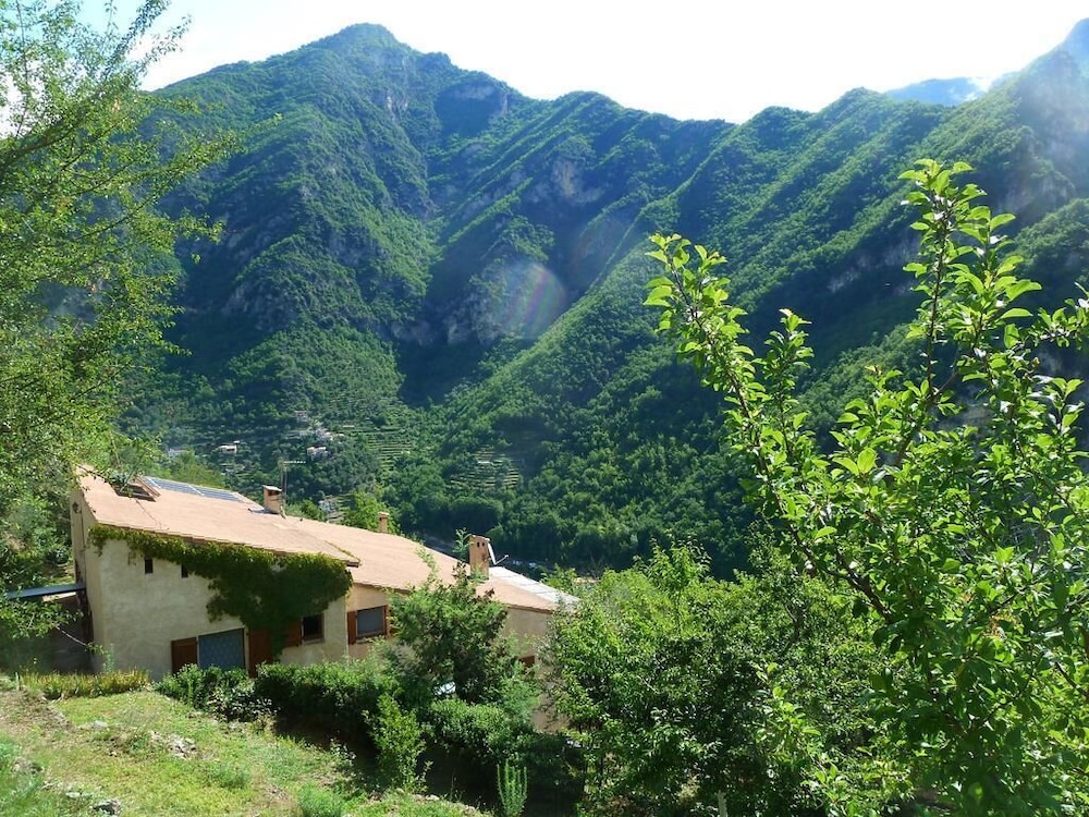 Le Mont D'olivine