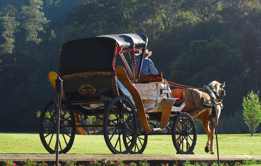 Sierra Lago Resort  Spa - All inclusive - Property Image 137