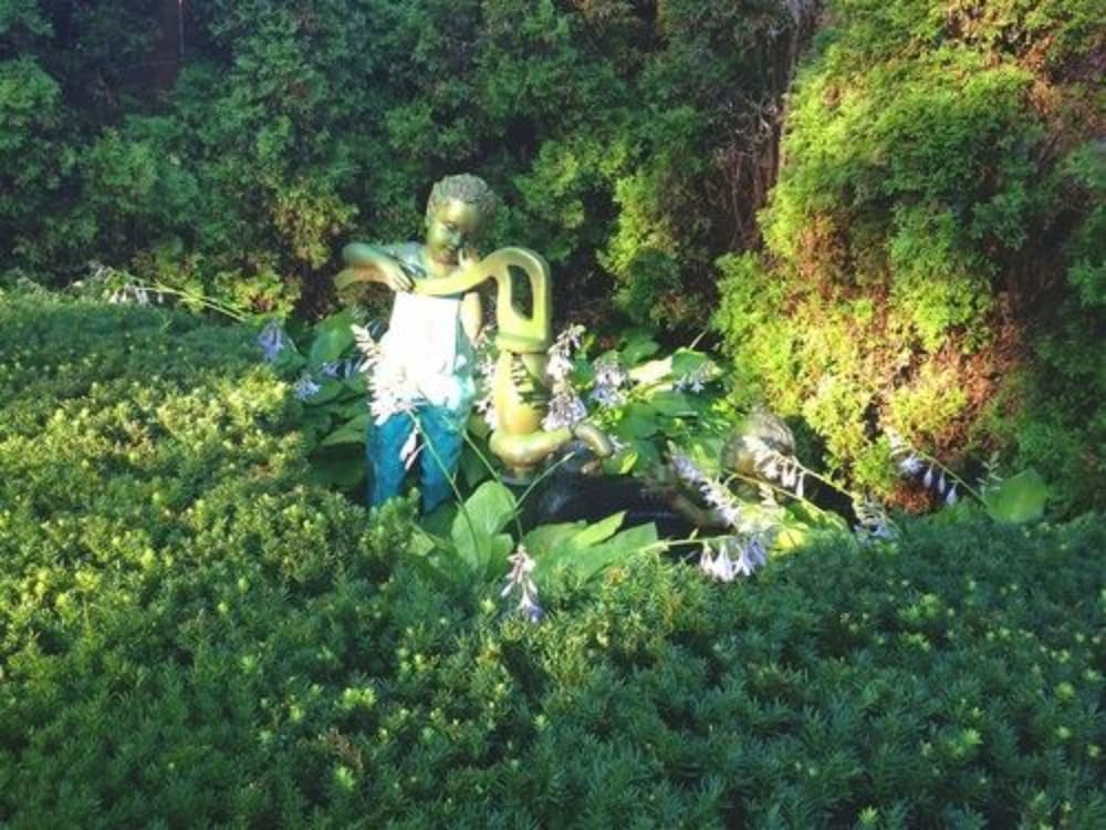 Photo 113