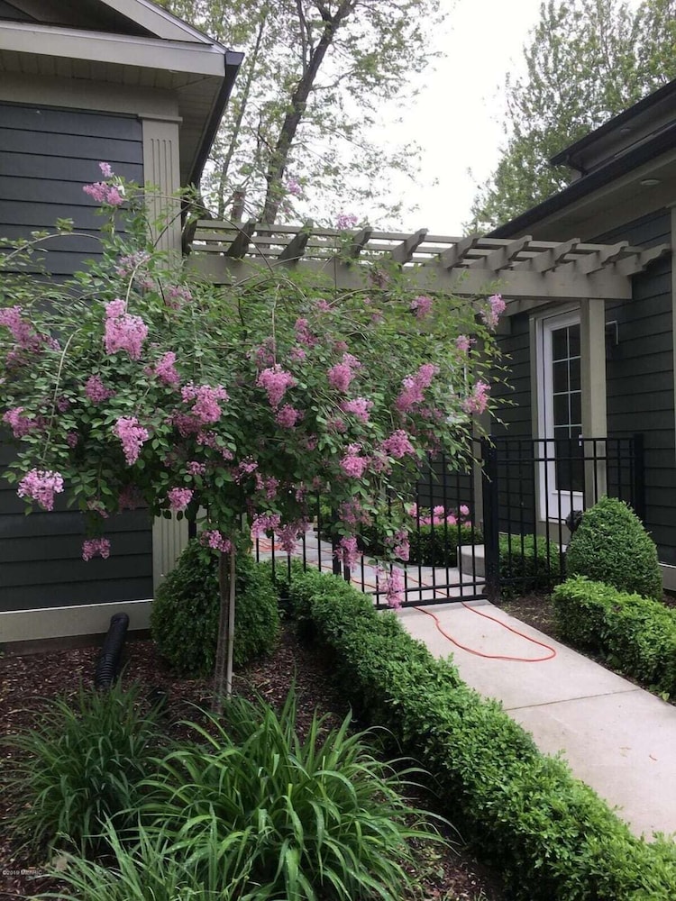 Third Coast Hideaway - Saugatuck - Douglas Downtown Area - Spacious & Spotless