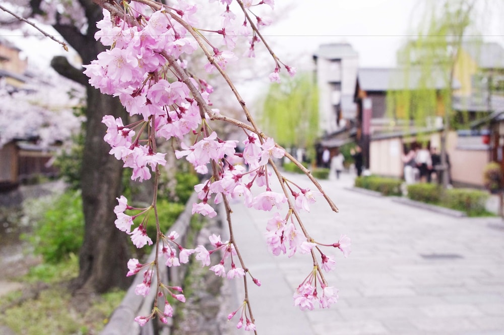 Resi Stay Yasaka-No-To