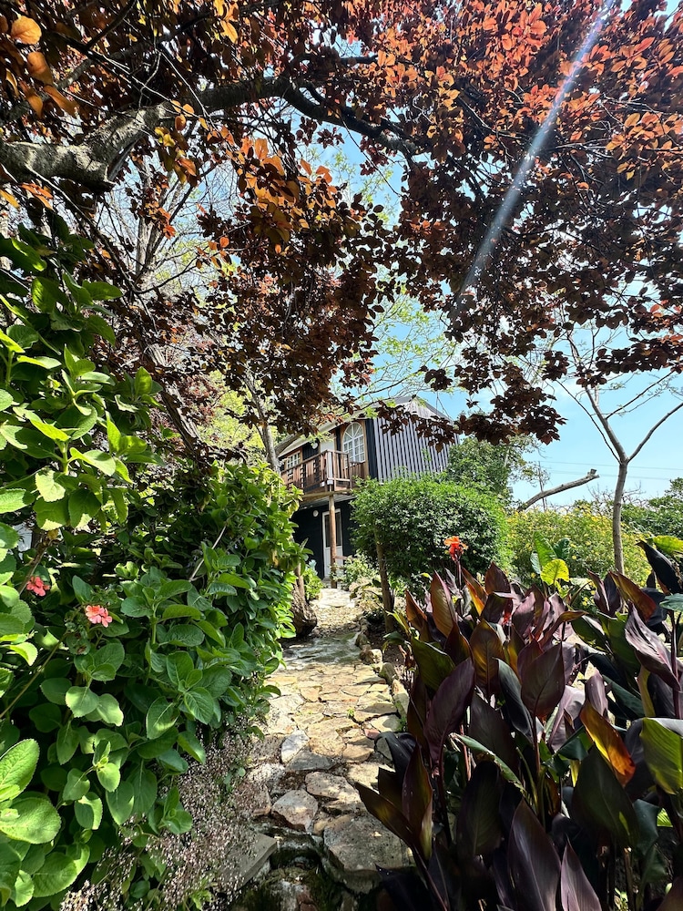 Charming Cottage in Elgin, Grabouw