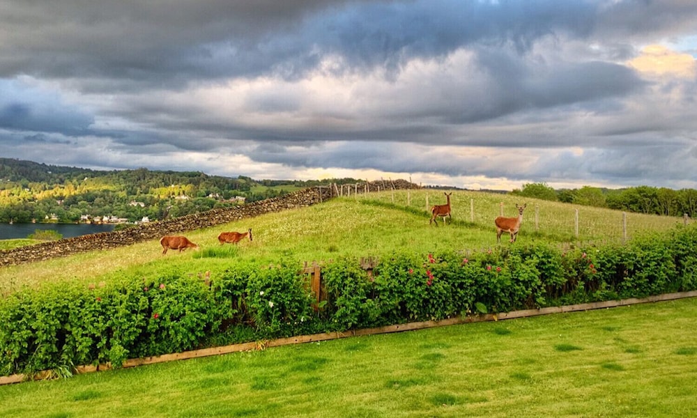 Hawkrigg Farm