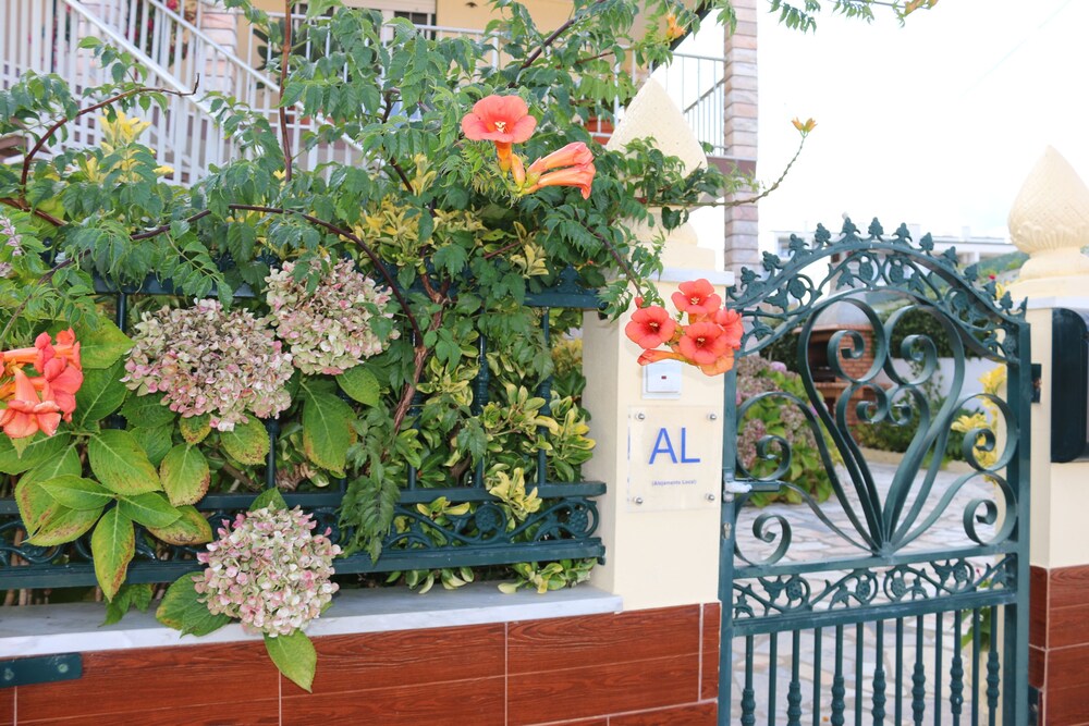 Photo 40