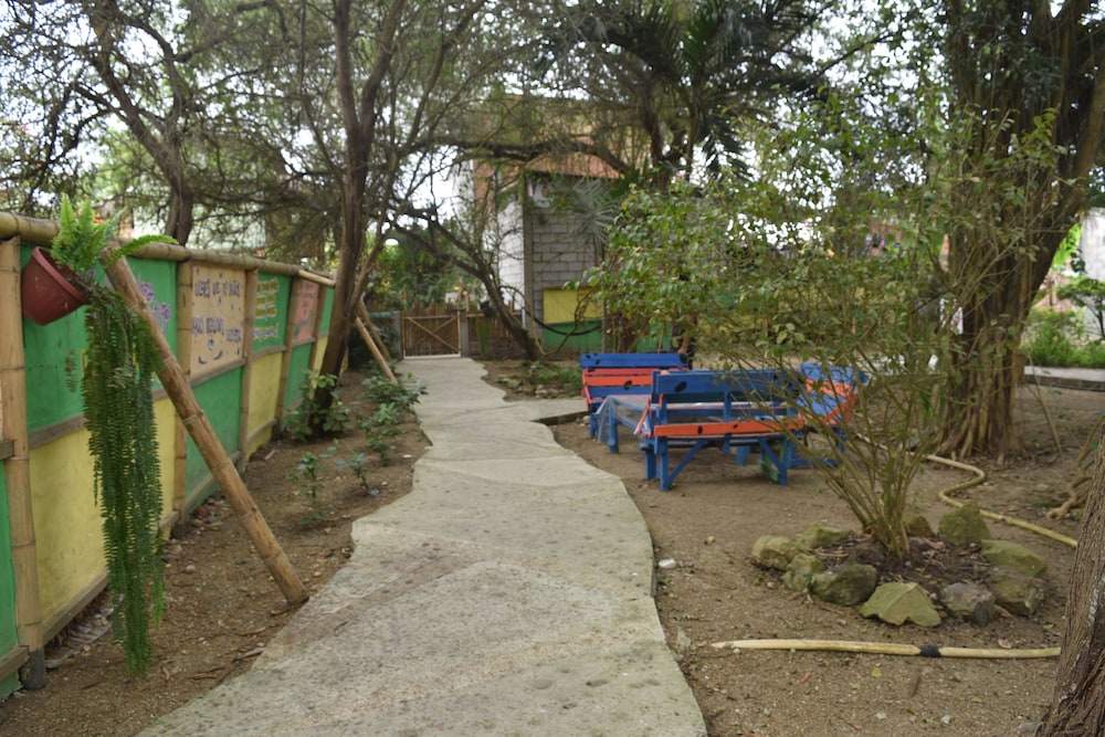 Photo 43