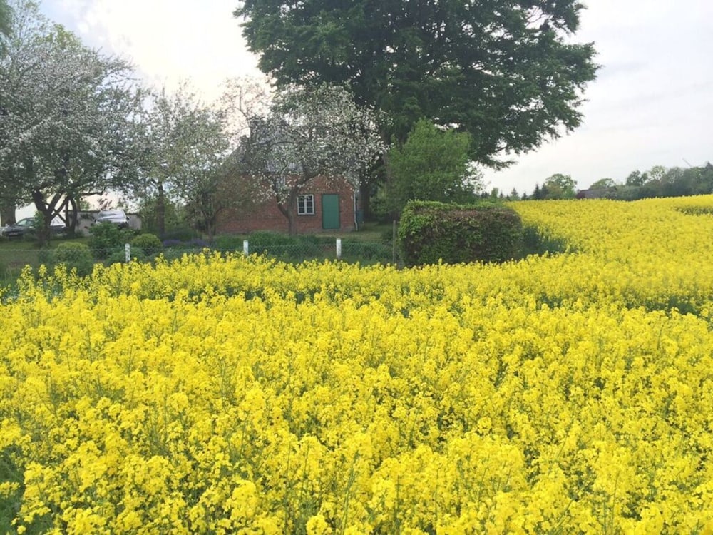 Country House Landlust