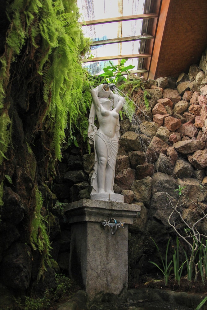 Photo 50