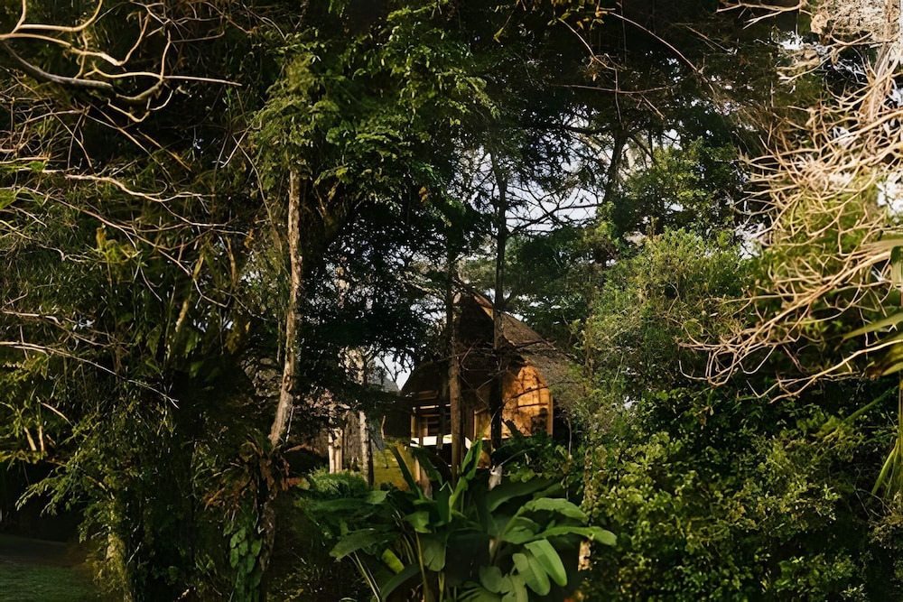 Balsa Nueva Lodge