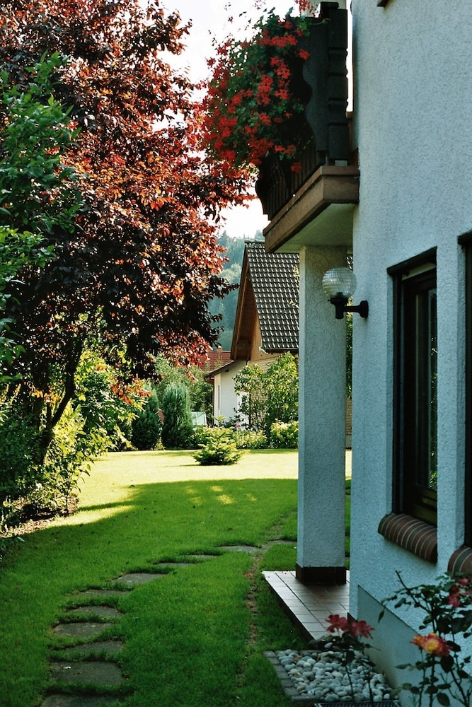 Photo 24