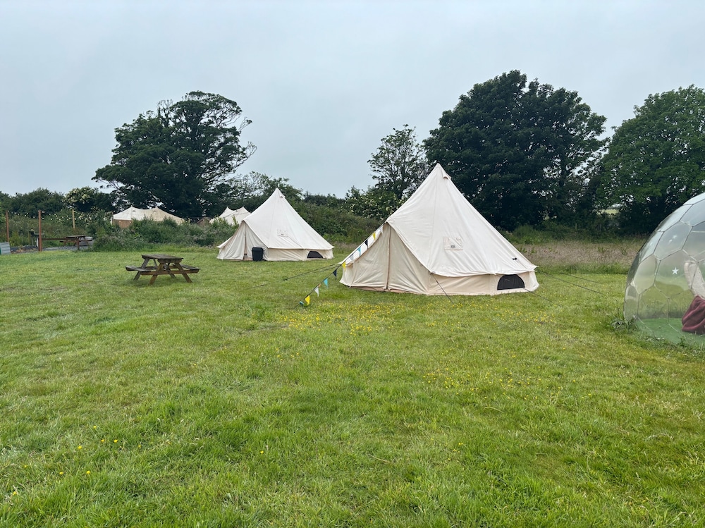 Cozy Dog Friendly Hot Tent With Log Burner & Logs