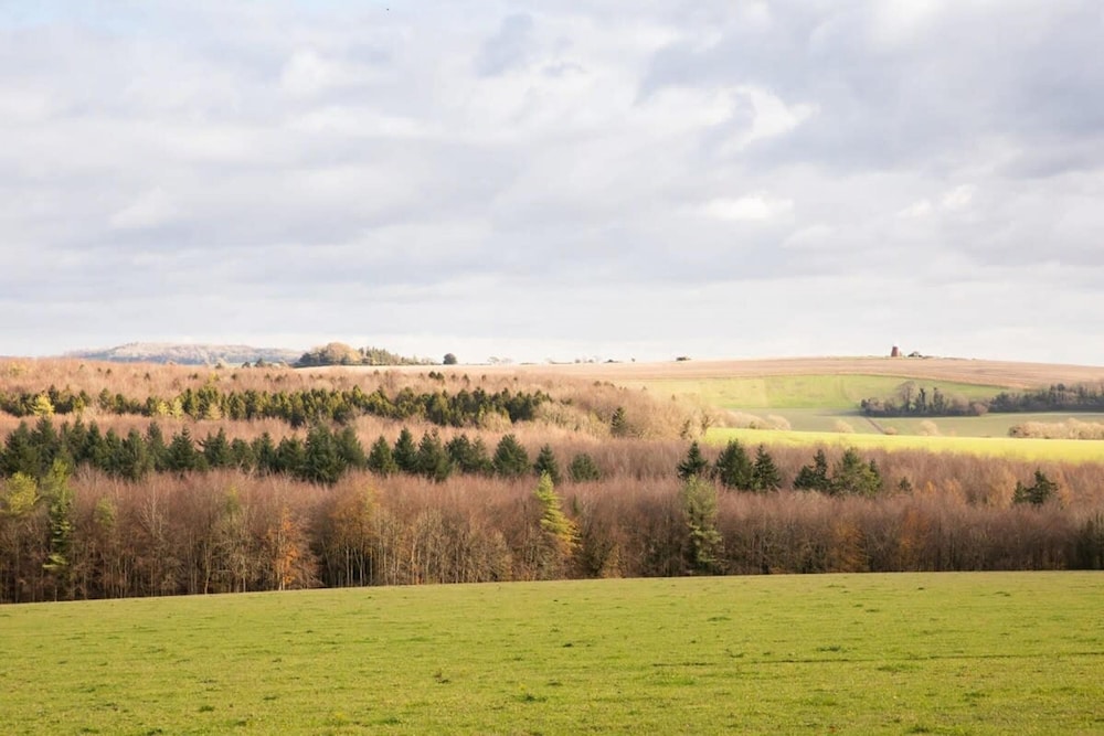 Cosy Cottage in Beautiful South Downs Walk 2 Pub view 2