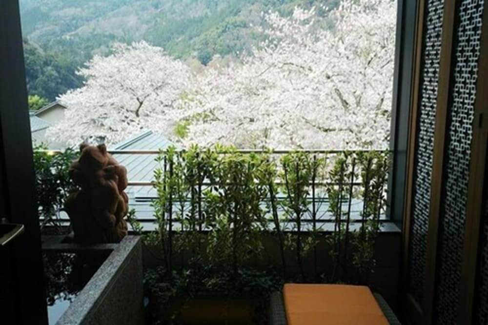 Hakone Airu