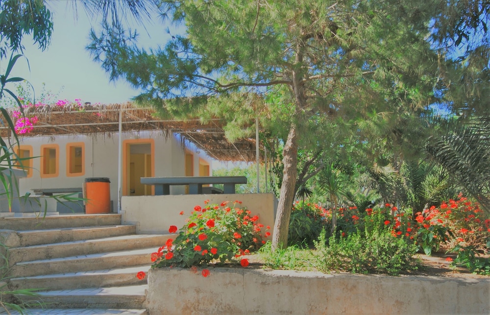 Santorini Camping & Hostel