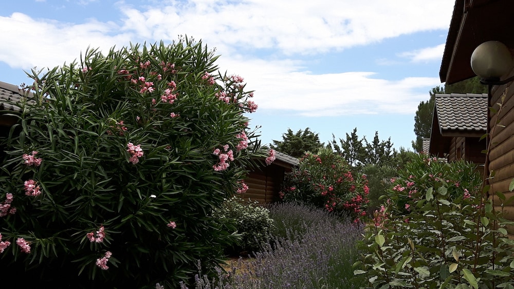 Les Hauts de Baldy