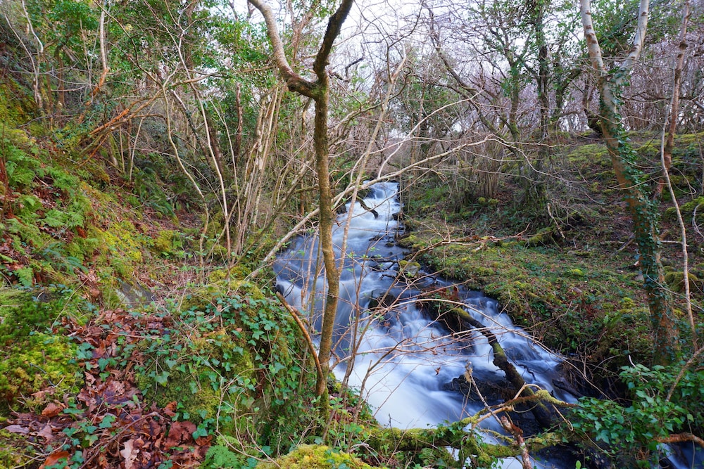 Fernwood view 3