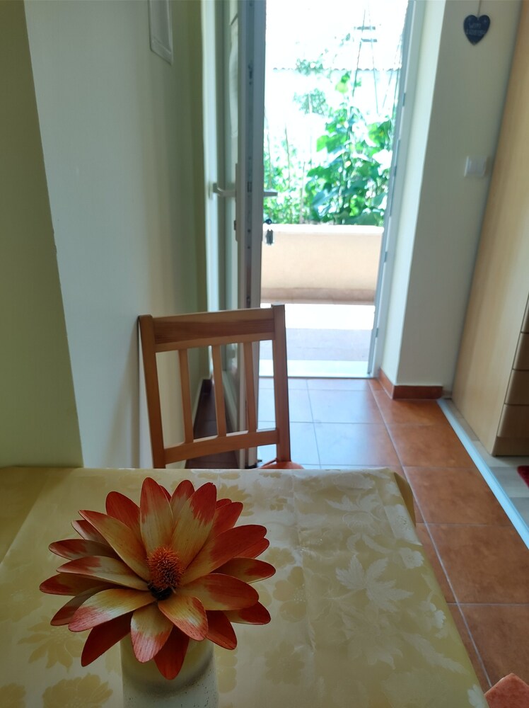 Anna Guesthouse