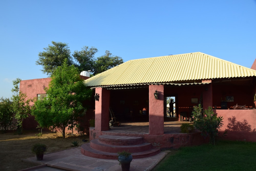 Photo 7