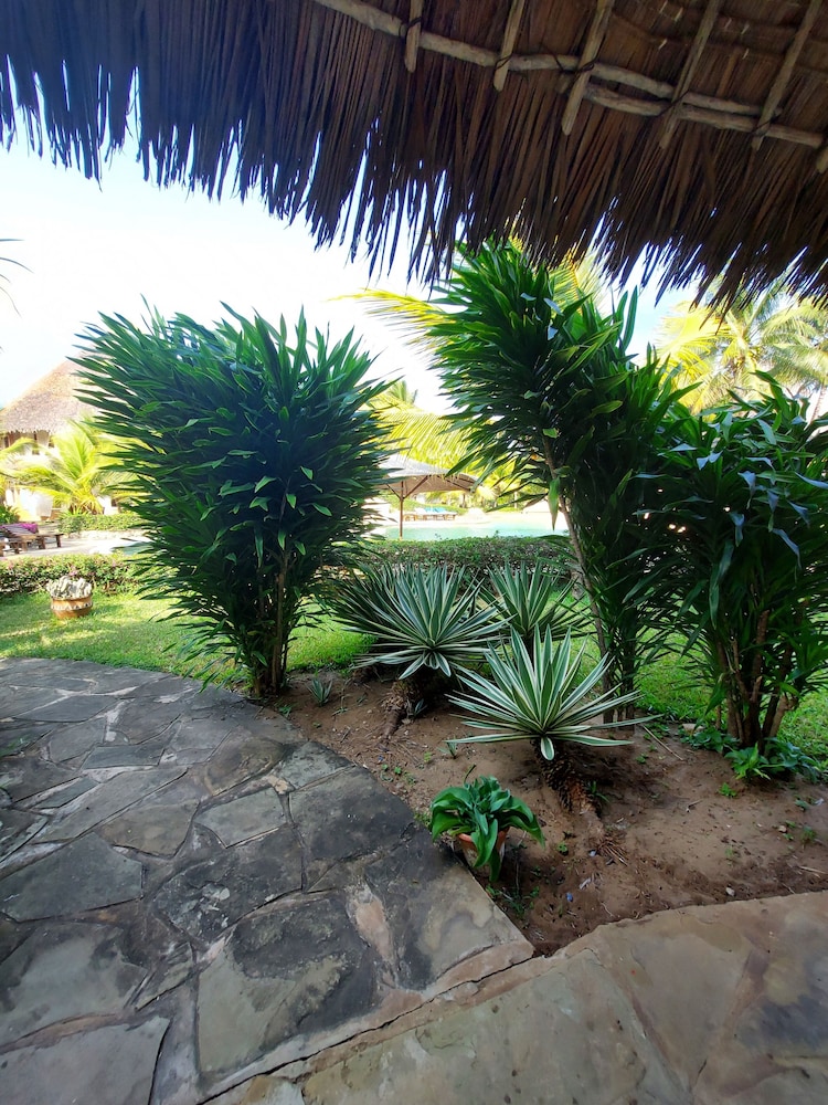 Tembo Court Apartment view 2