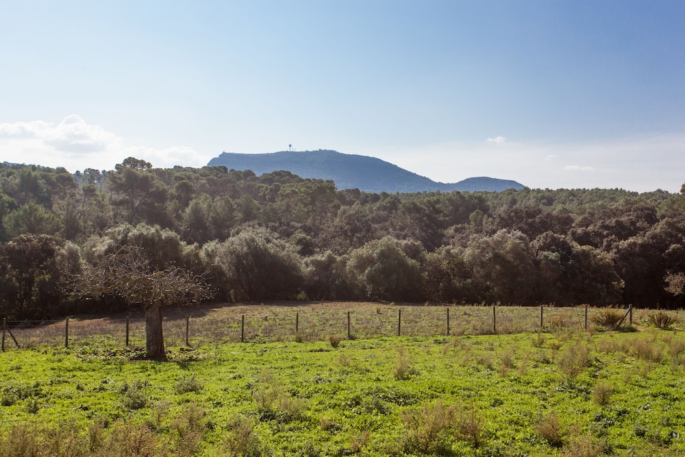 Hotel Agroturismo Possessió Binicomprat