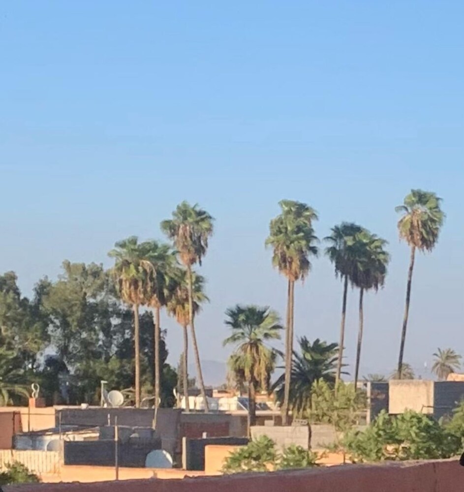 Le soleil de Bahia