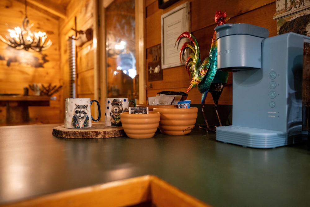 Cozy Bear 1 Bedroom Cabin
