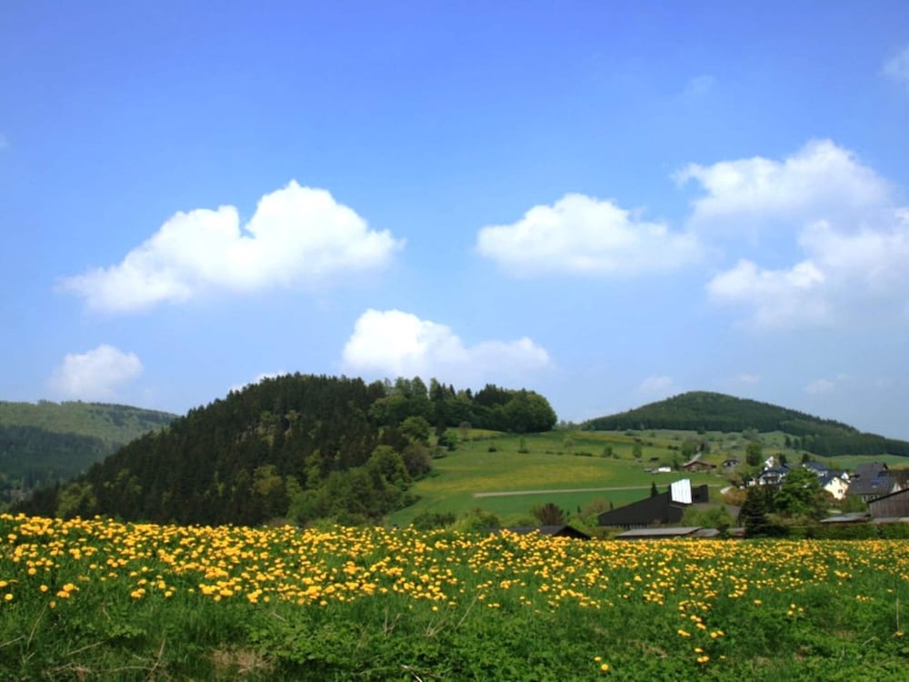 Holiday Home in Willingen Near Ski Area