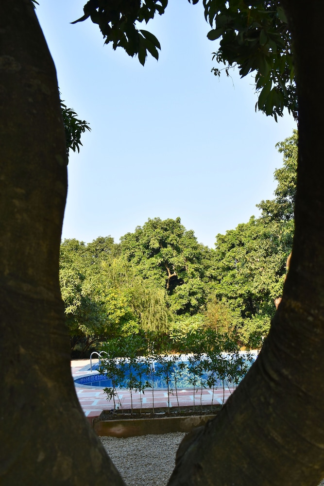The Greenwich Resort