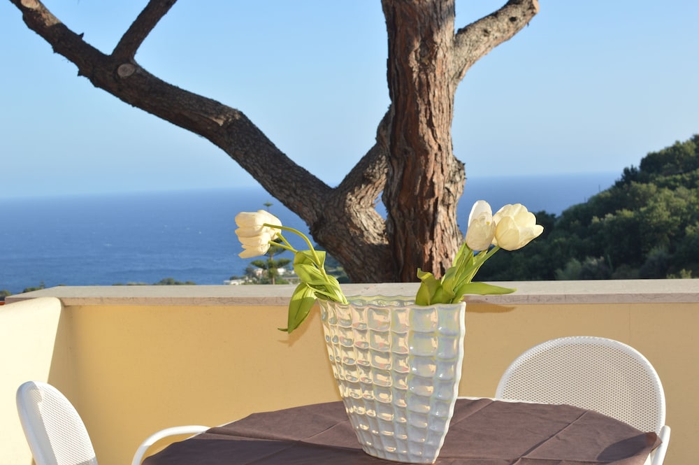 Hotel Polito