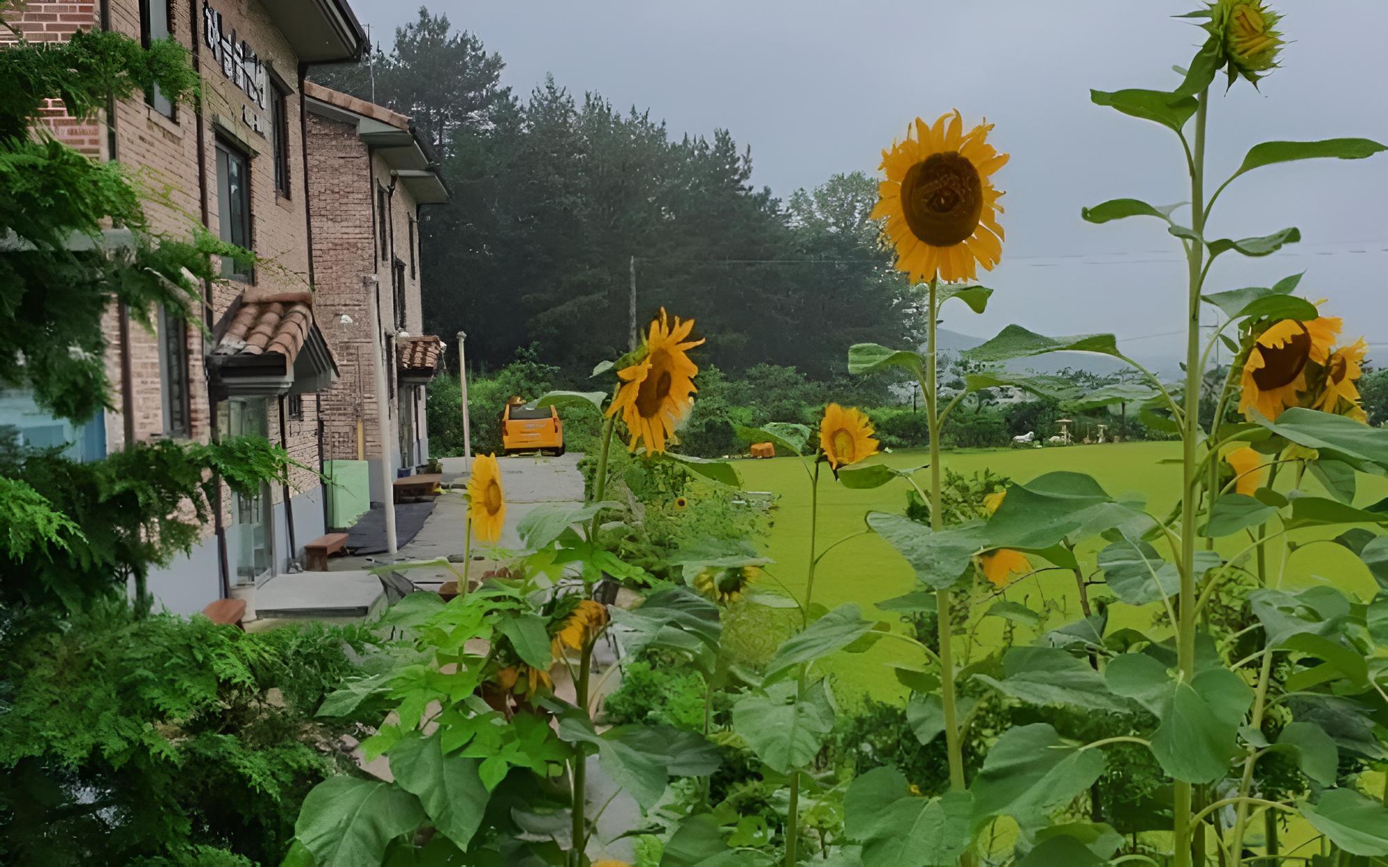 Iksan Sky Forest Pension view 4