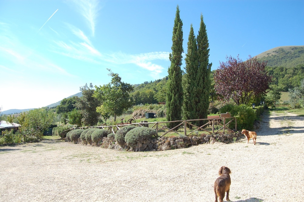 Photo 45