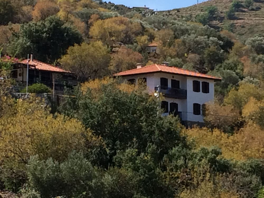 Selimiye Houses