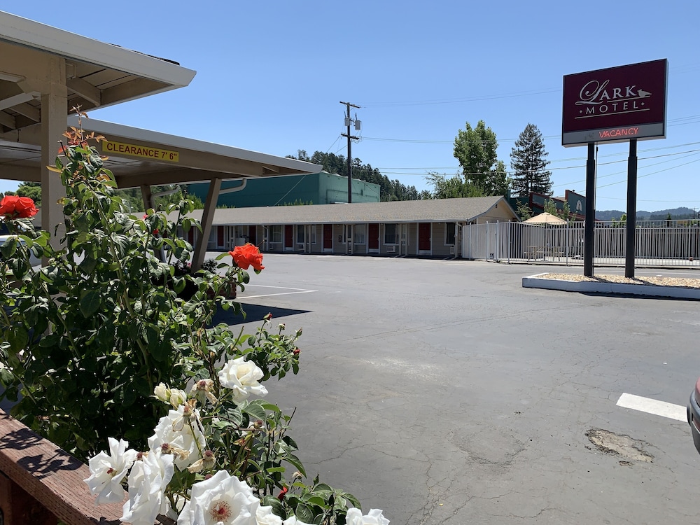 Lark Motel