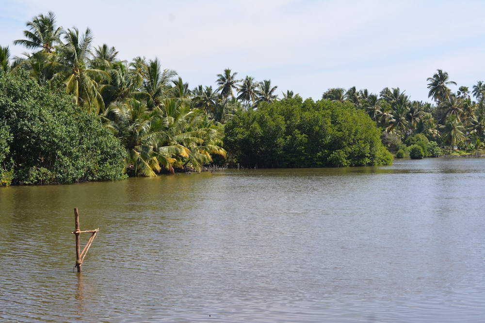 Lagoon Resort Goviyapana