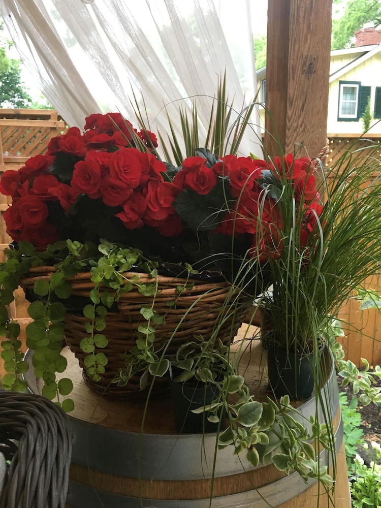 Darlington House B&B