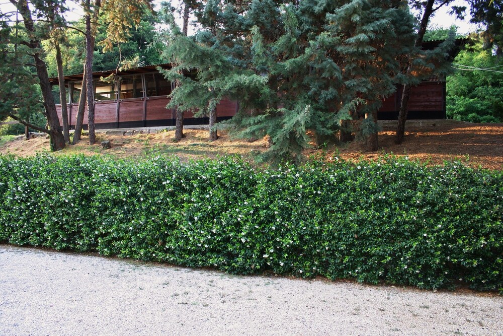 Green Oasis B&B