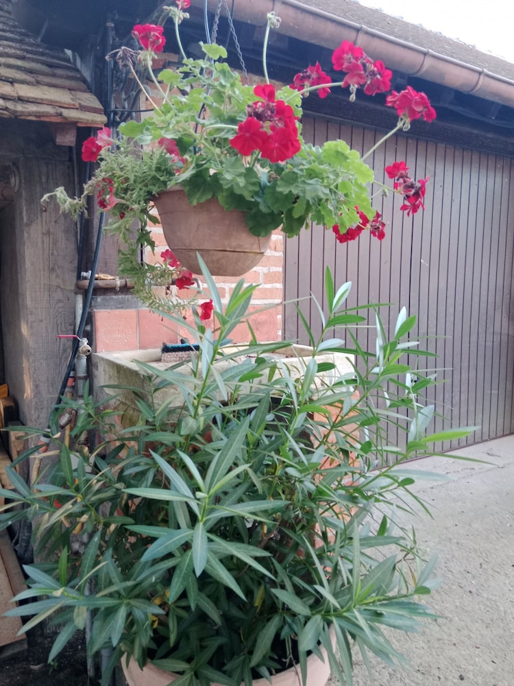 Photo 35