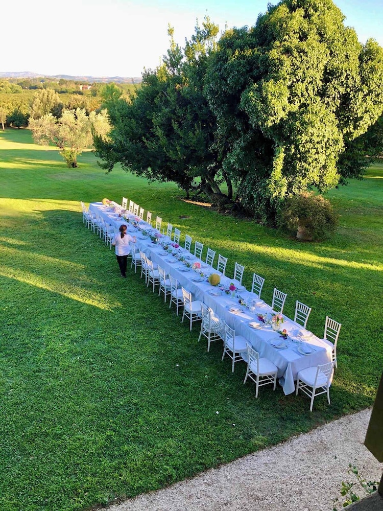 New Estate of Joy a Magnificent Historic Villa Near Rome on Glorious Ground Pool and Olives Galore