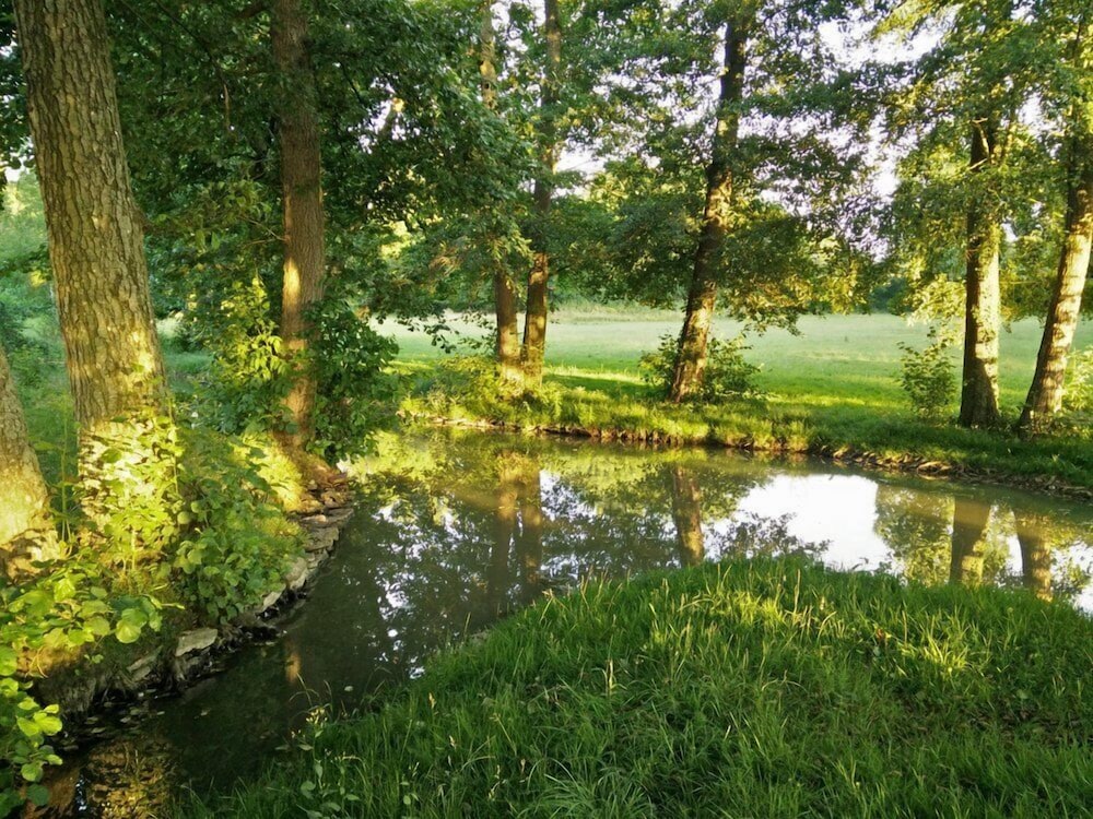 La Barbotière