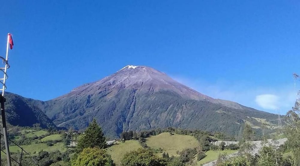 Rutun Orquídeas