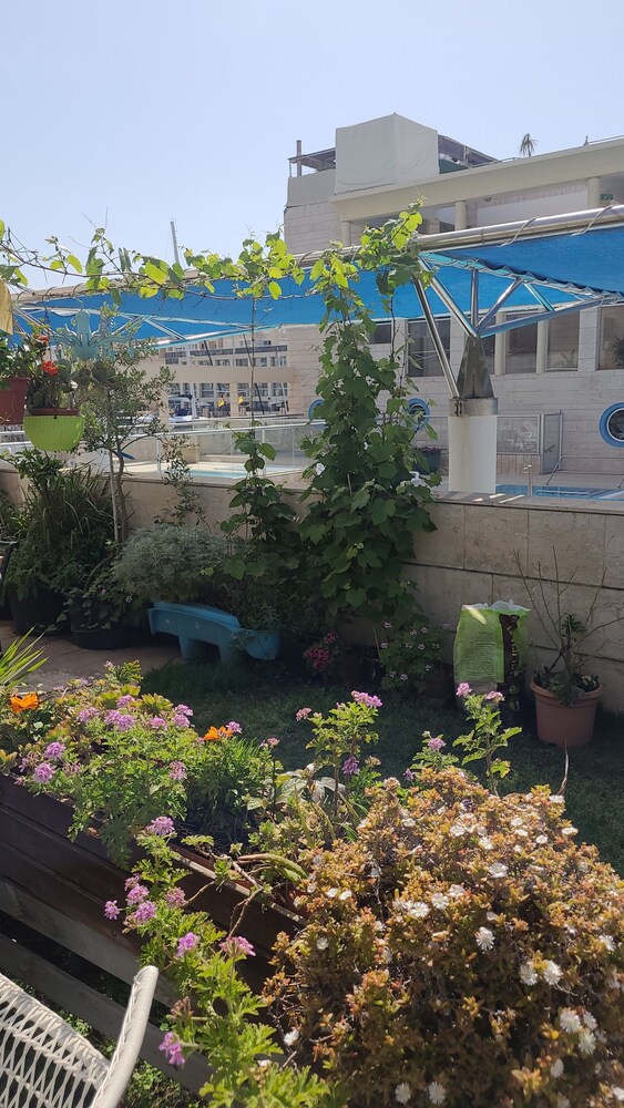 Israel Marina Village rent apartment
