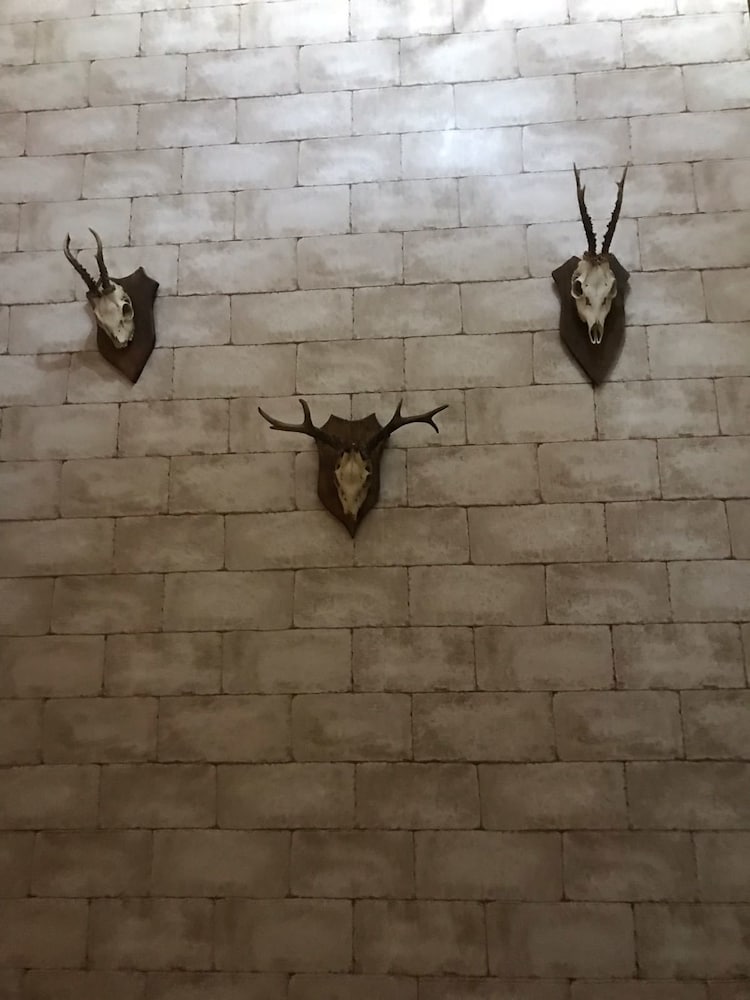 Camelot B&B Palermo