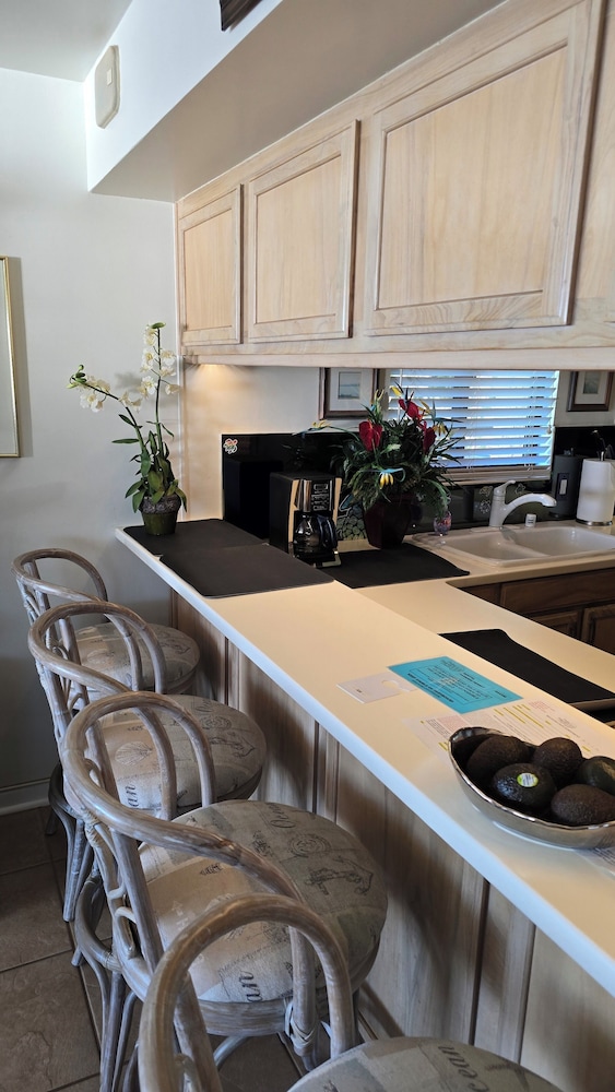 Polo Beach Club Vacation Rentals - APlus Resorts