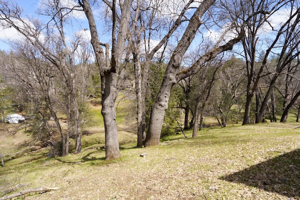 Bigfoot Retreat - Close to Golf and the Beach by Yosemite Region Resorts view 5